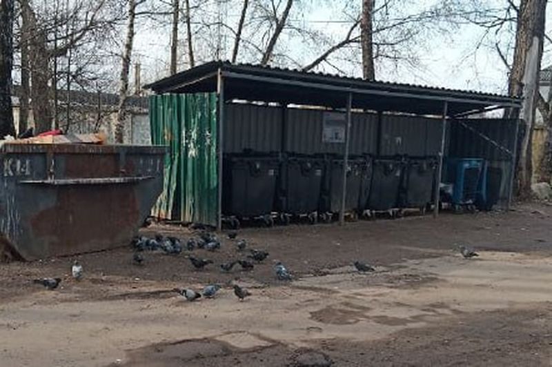 В Рузском округе убирают мусор в местах сбора ТКО