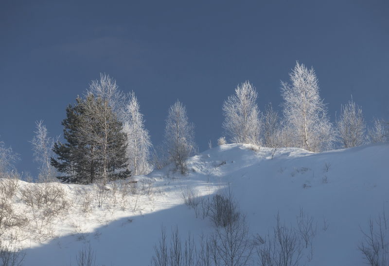 Фотовыставка «Прощание с зимой» открыта на сайте Рузского музея