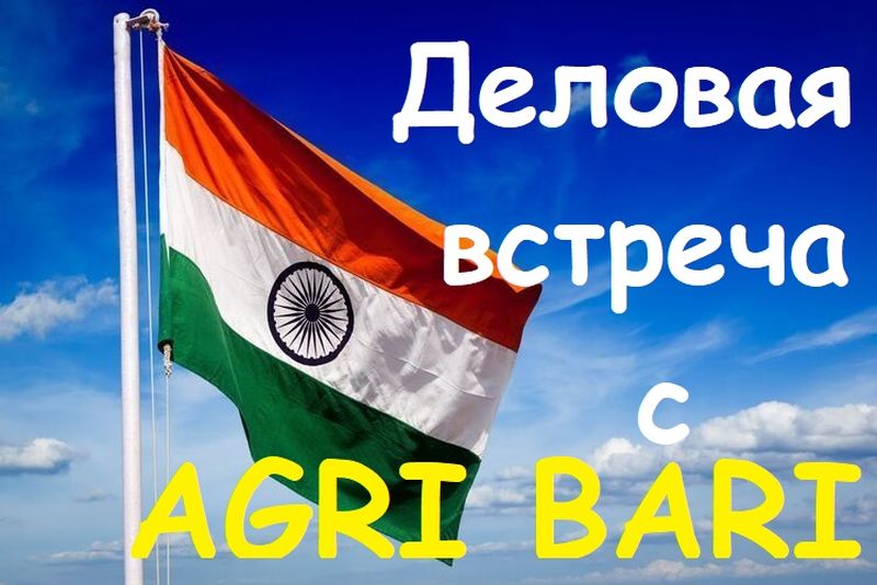 Деловая встреча с индийской компанией AGRI BARI