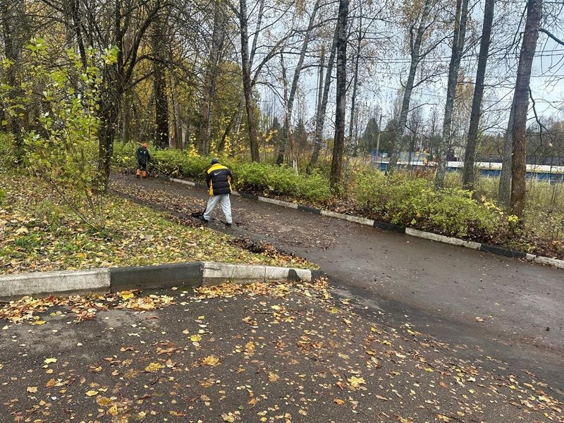 На Беляной Горе уберут аварийное дерево