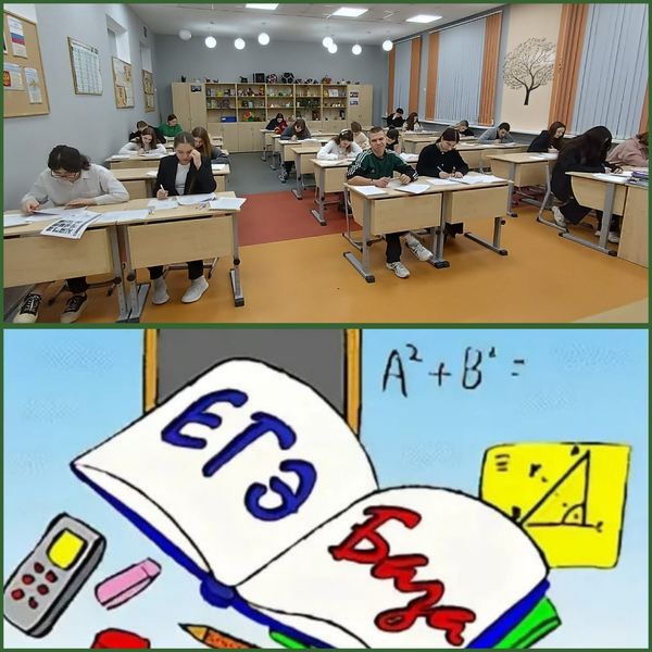 Пробный экзамен по математике провели для выпускников Тучковской школы №1