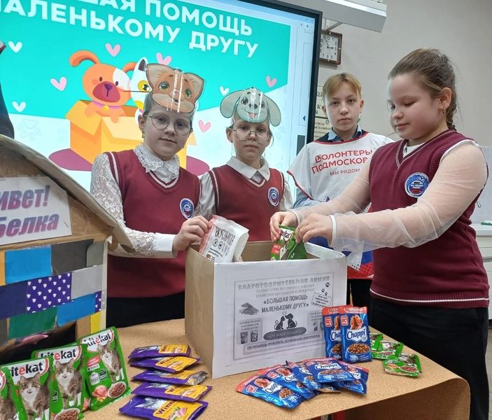 Нестеровские лицеисты помогают бездомным животным