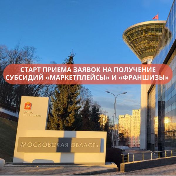 Стартовал прием заявок на субсидии при выходе на маркетплейсы и по франшизе
