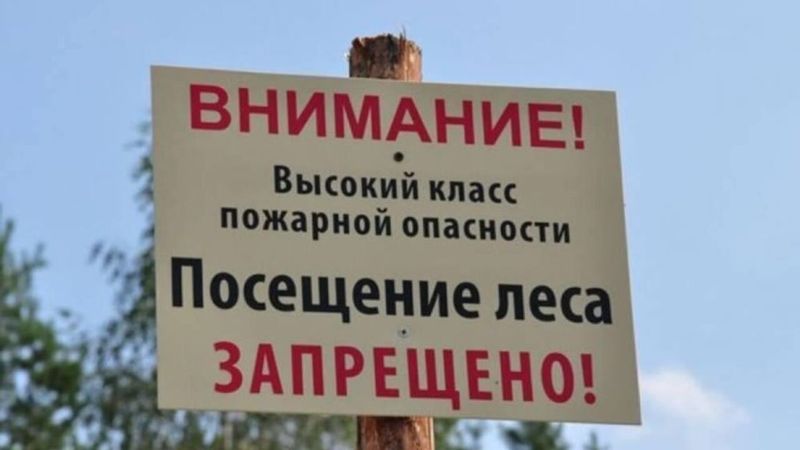 Ограничено пребывание граждан в лесах
