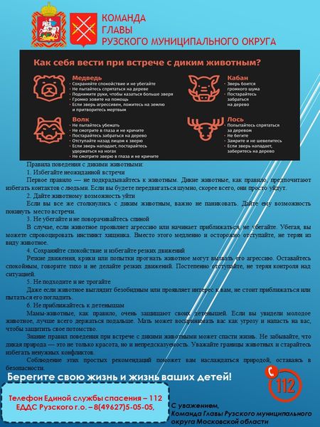 Правила поведения при встрече с дикими животными: как избежать трагедии