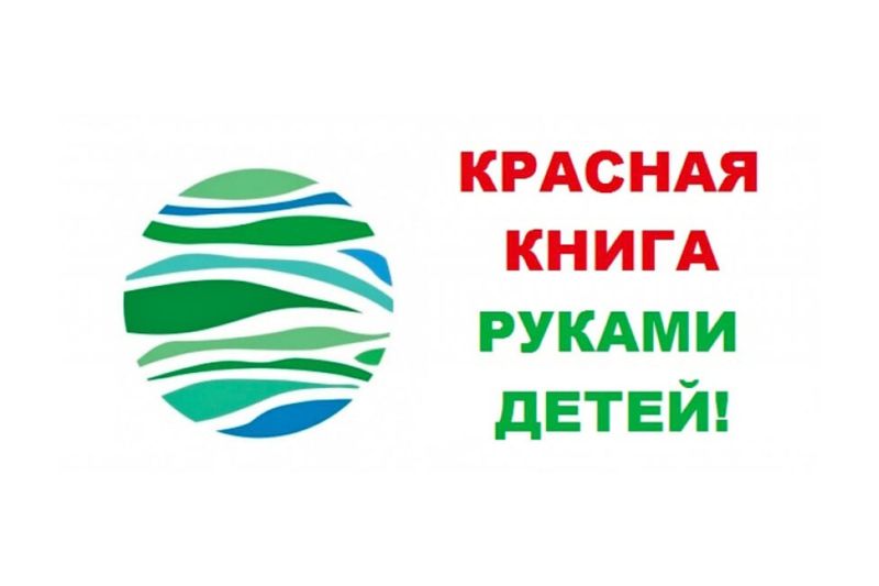 Проект «Красная книга руками детей!» ищет инвесторов