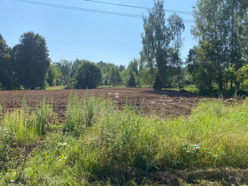 В поселке ВЦСПС Рузского округа снесли 4 аварийных дома