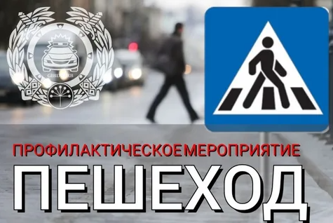 Сотрудники рузской Госавтоинспекции напоминают пешеходам, что они несут не меньшую ответственность на дороге, чем водители 