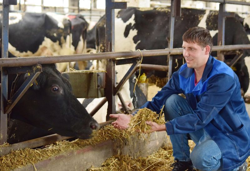 Фермеры смогут пройти онлайн-обучение по продаже продукции через интернет