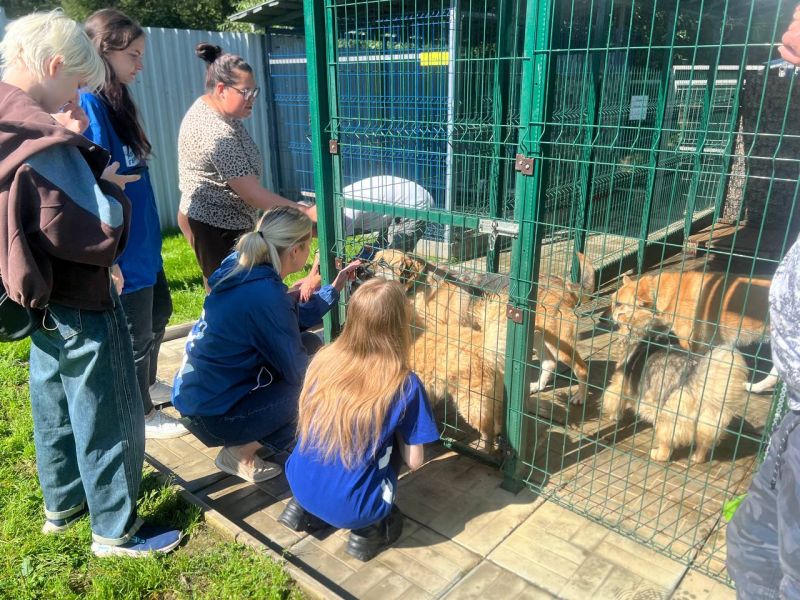 «Единая Россия» передала корм в приют для животных «Айка»