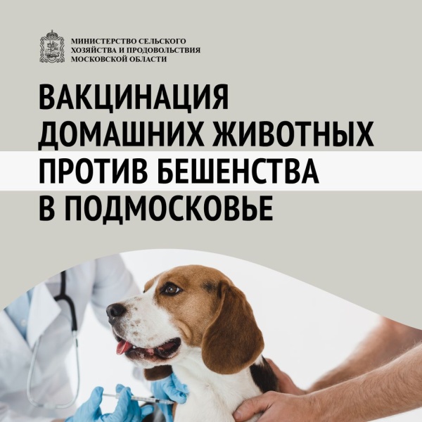 В парке «Городок» состоится мероприятие по чипированию, регистрации и вакцинации домашних животных