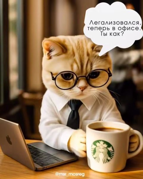 92% нелегально занятых работников в Подмосковье «вышли в свет»