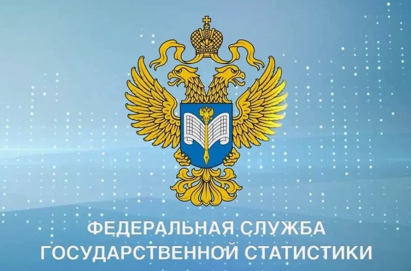 Сведения о деятельности индивидуального предпринимателя в розничной торговле