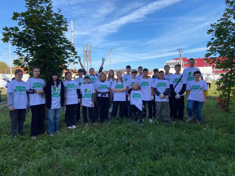 Тучковские школьники приняли участие в акции «День в лесу»