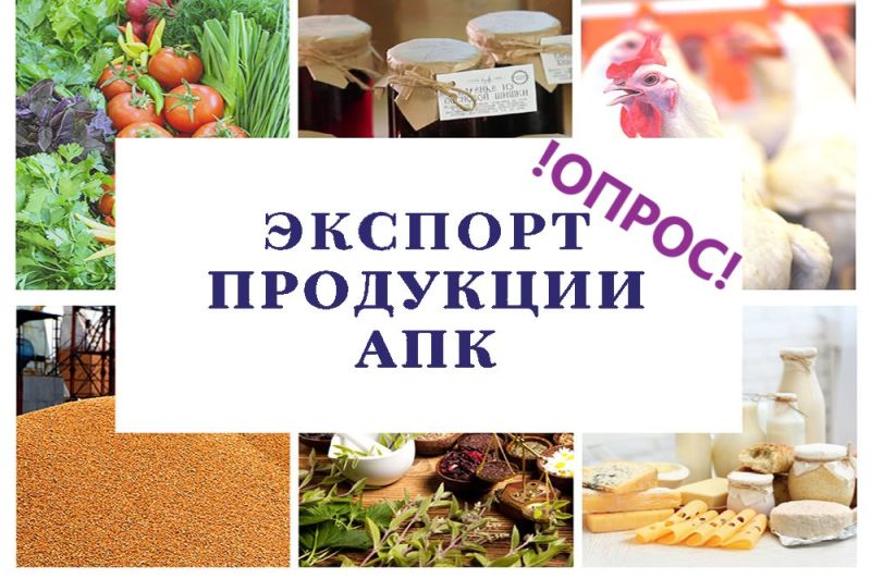 Проводится опрос об осведомленности российских экспортеров о мерах господдержки