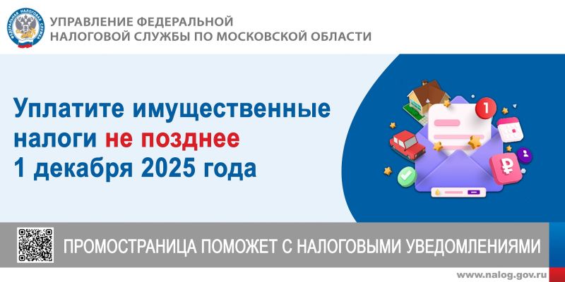 Уплатите имущественные налоги за 2024 год не позднее 1 декабря