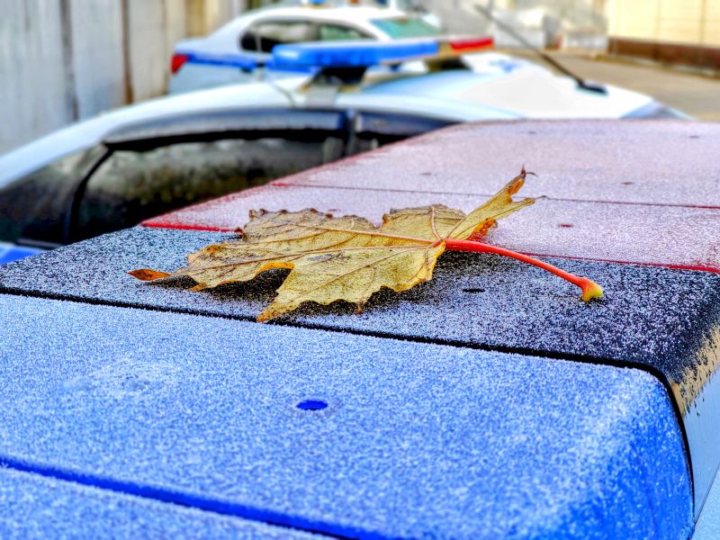 В декабре на дорогах Рузского округа пройдут рейды Госавтоинспекции «Нетрезвый водитель» и «Ребёнок-пассажир» 