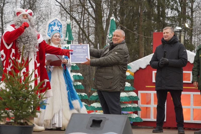 В Рузском округе срубили главную новогоднюю ель страны