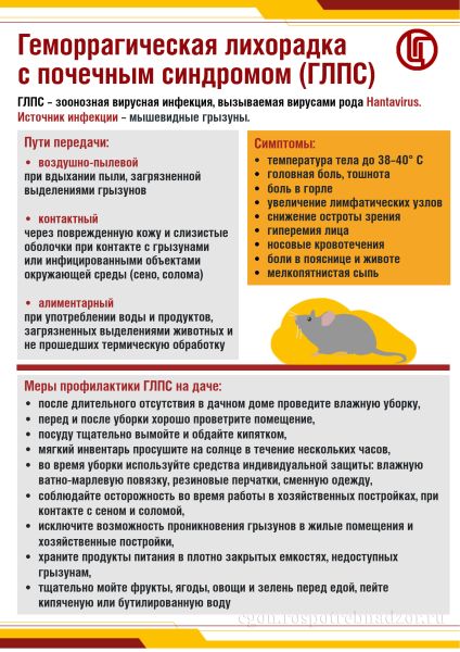 Меры профилактики геморрагической лихорадки с почечным синдромом