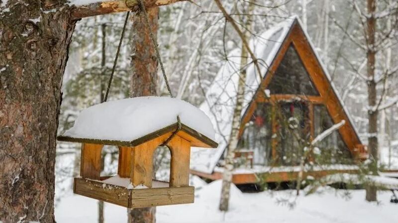 В Рузе 29 января стартует акция «Покорми птиц»