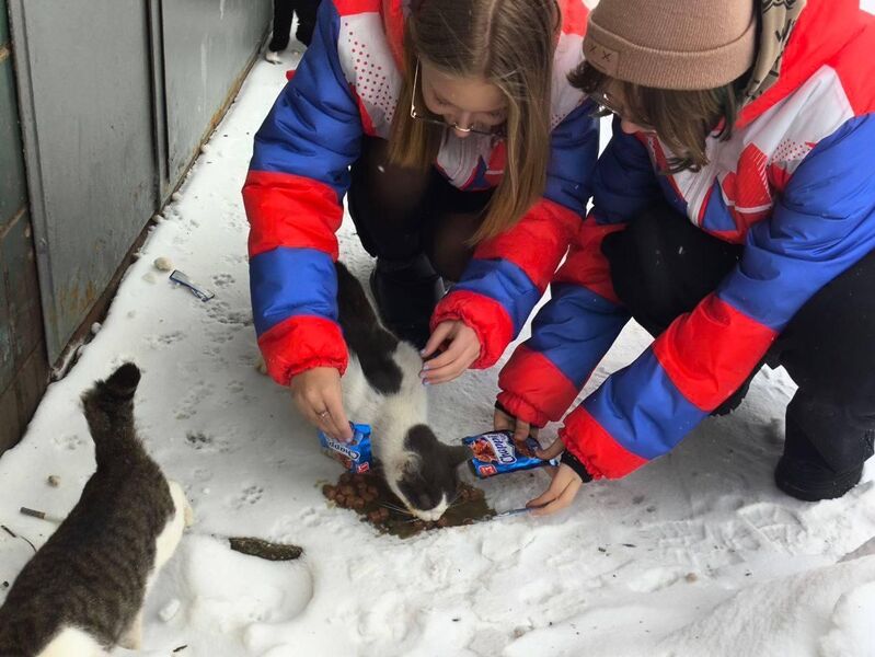 Акция «Пушистое сердце»: волонтёры из Космодемьянской школы поддержали бездомных животных