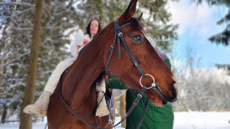 В Рузе набирают популярность фотосессии с лошадьми