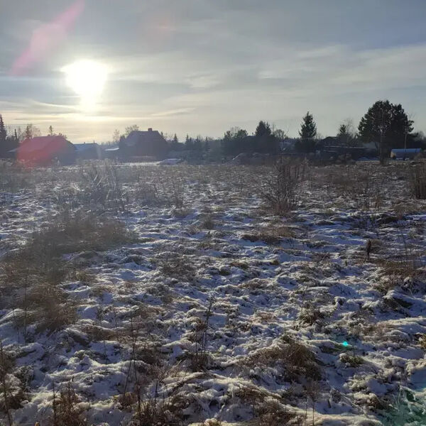 Больше 100 новых объектов появилось на торгах в Подмосковье за неделю