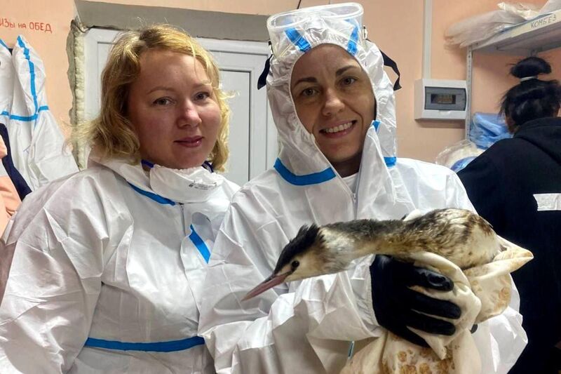 Статус, страховка и поддержка: как изменится работа волонтеров в приграничье по новому порядку