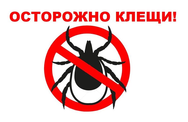 Жителям РМО напоминают о профилактике клещевых инфекций