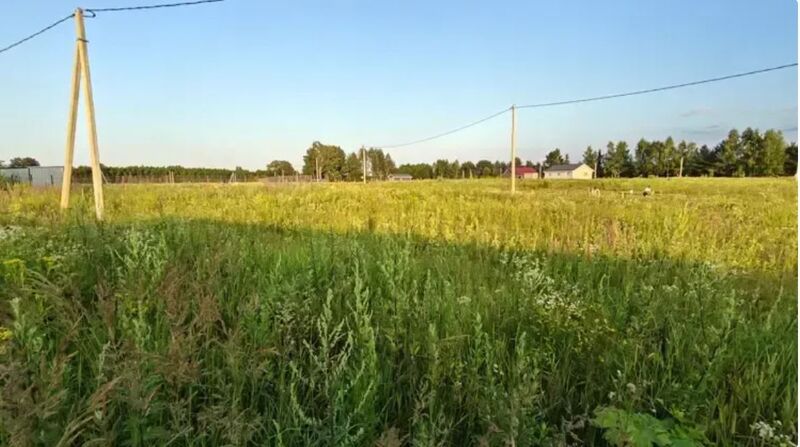 Ступино, Руза и Истра стали лидерами торгов в Подмосковье