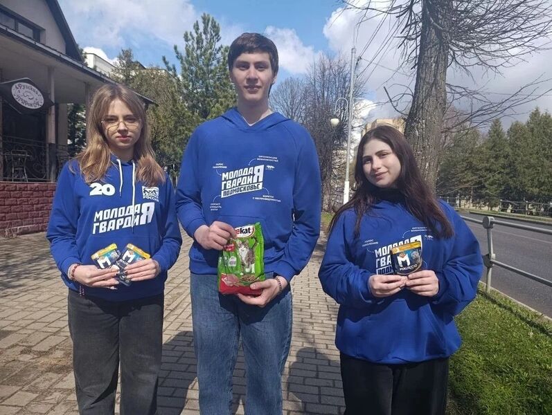 Молодогвардейцы накормили бездомных кошек в Рузе