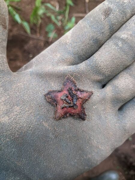 Состоятся захоронения останков бойцов времён Великой Отечественной войны