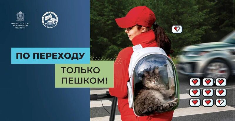 Госавтоинспекция Подмосковья проводит социальный раунд «Безопасная мобильность»