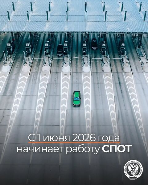 Как работает СПОТ: от подачи сведений в ФНС до проверки QR-кода на таможне