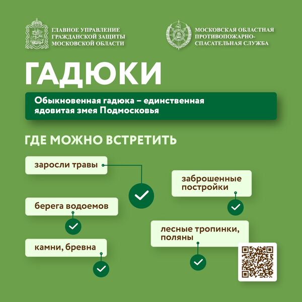 Как защитить себя при встрече с гадюкой