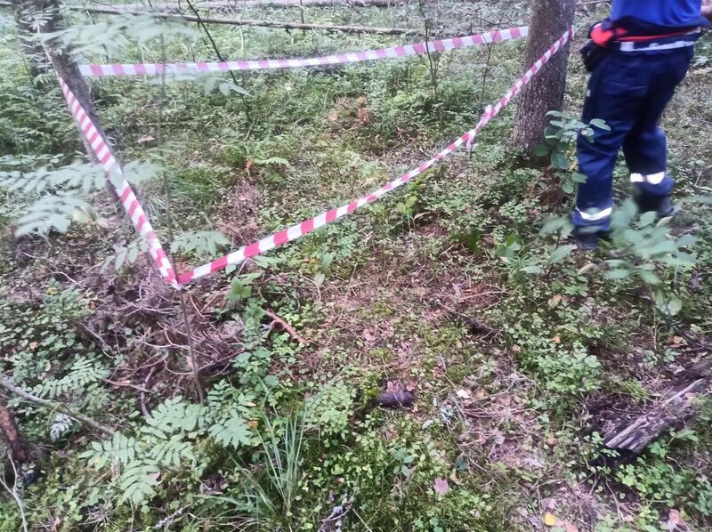В Таблово взрывотехники ГКУ МО «Мособлпожспас» обезвредили артиллерийский снаряд времен ВОВ
