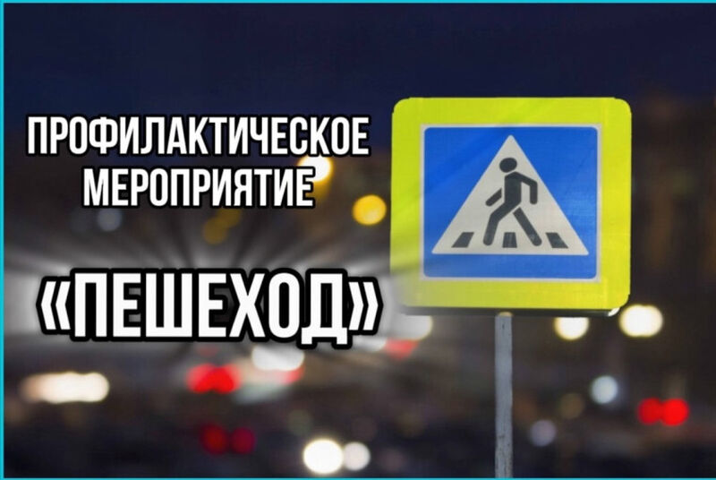 Сотрудники 15-го батальона ДПС провели в Рузском округе мероприятие «Пешеход»