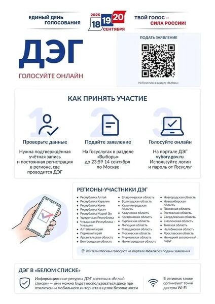 Жителей Рузского округа информируют о проведении тестового онлайн-голосования