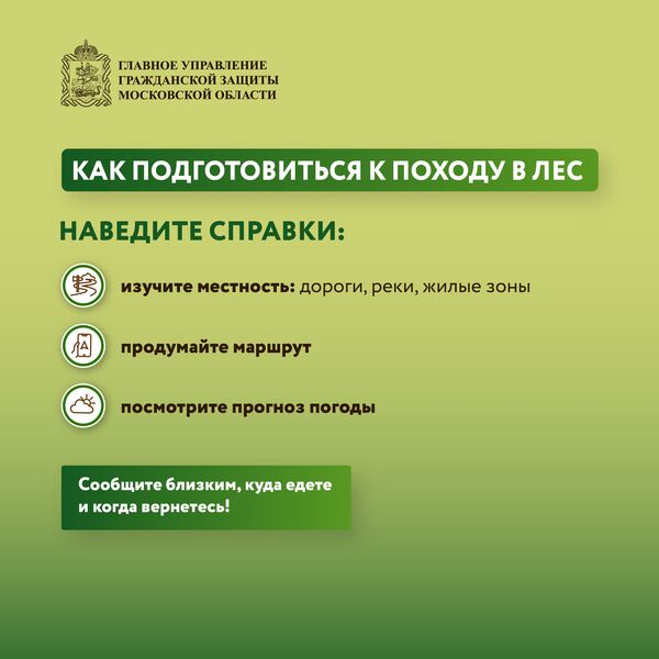 Как подготовиться к походу в лес