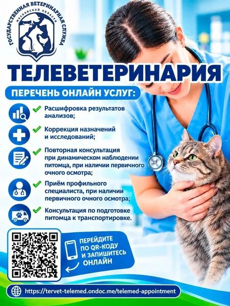 Телеветеринария: онлайн-консультации для питомцев