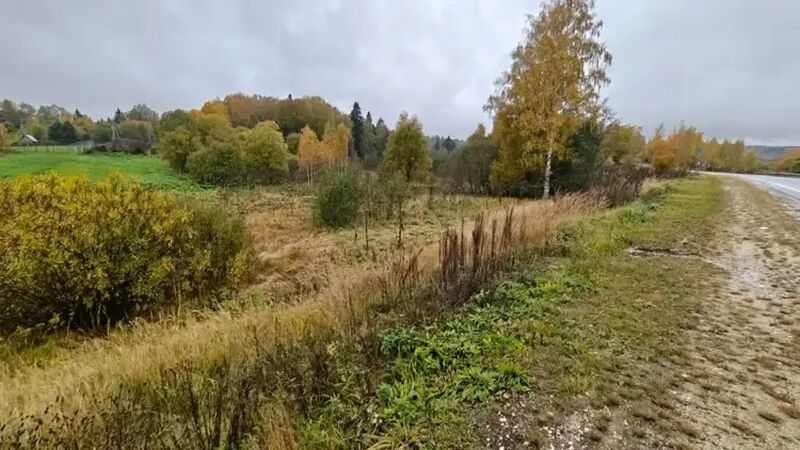 Земля и недвижимость в Подмосковье: более 180 новых объектов выставили на торги за неделю