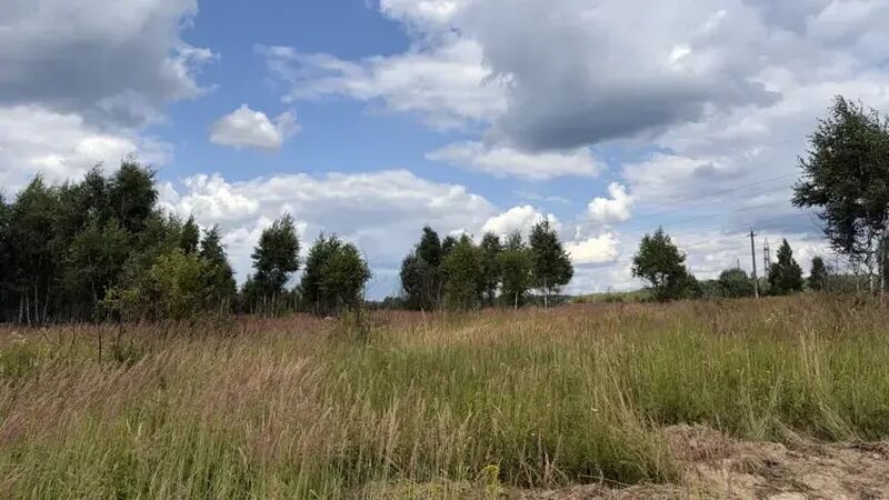 Названы округа-лидеры Подмосковья по количеству объектов на торгах 