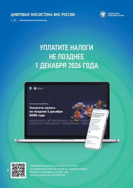 Оплатите налоги до 1 декабря