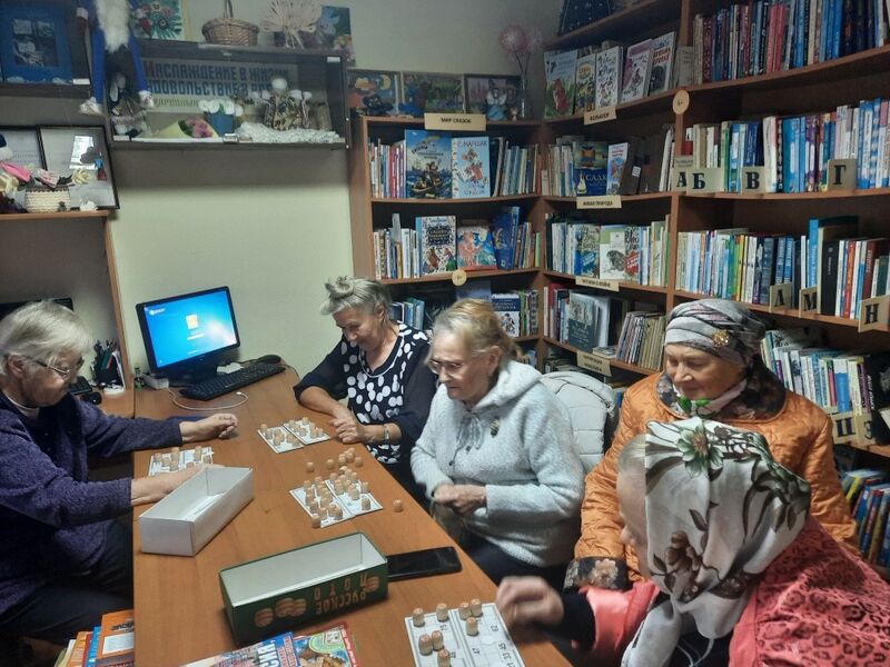 Барынинских пенсионеров объединили настольные игры